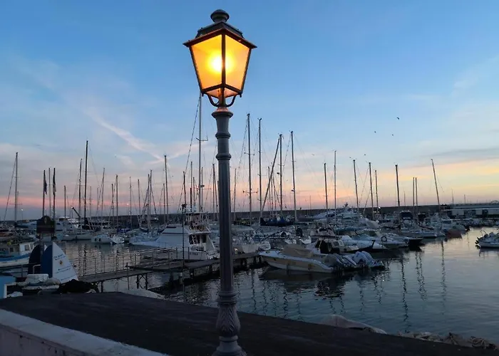 Petit Avec Classe Sanremo