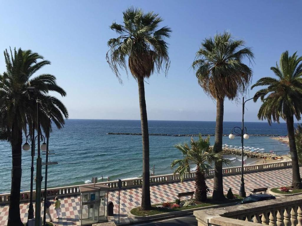 Petit Avec Classe Sanremo